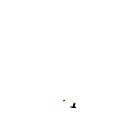 d11