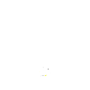 d11